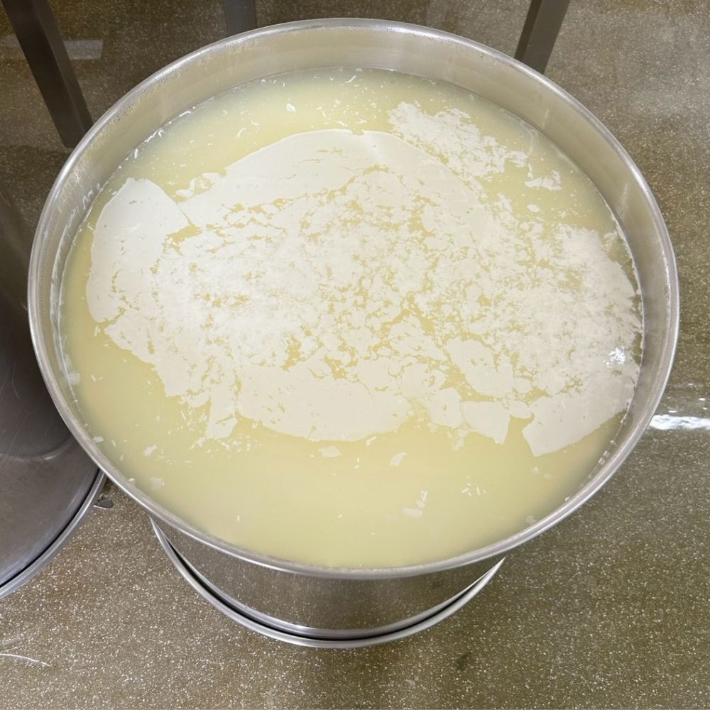 発酵